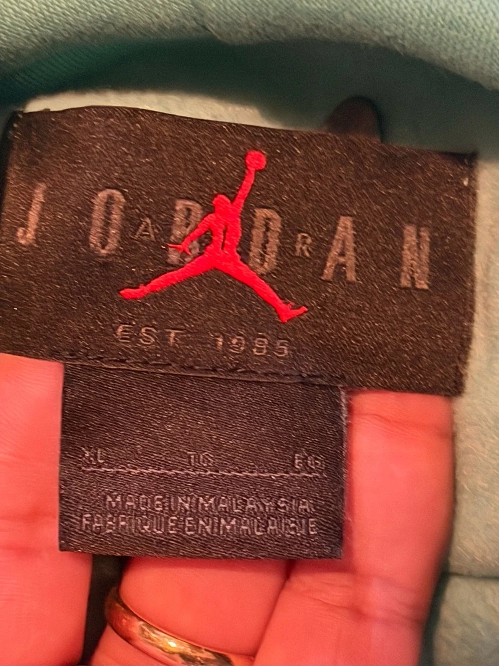 Jordan teal hoodie